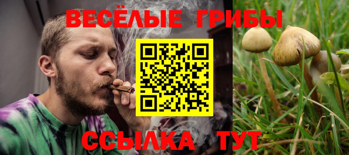 Псилоцибиновые грибы GOLDEN TEACHER  Вход с VPN  Нефтекумск 